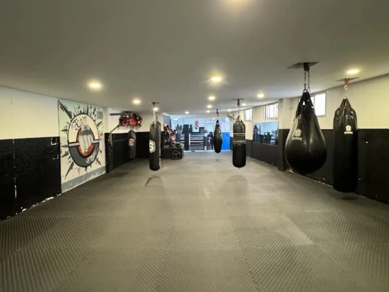 Gimnasio Esport rogent