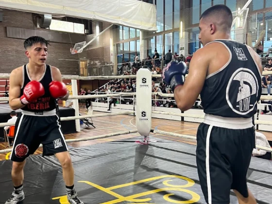 gimnasio de boxeo Ilion les corts