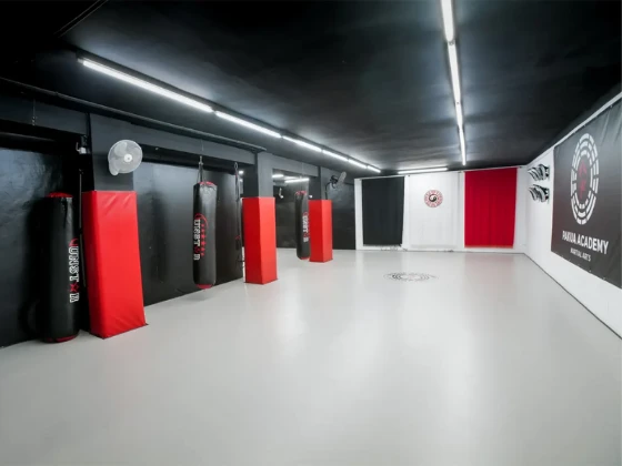 gimnasio PAKUA Academy