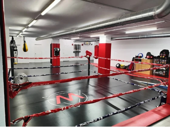 The Warriors Martial Arts Club