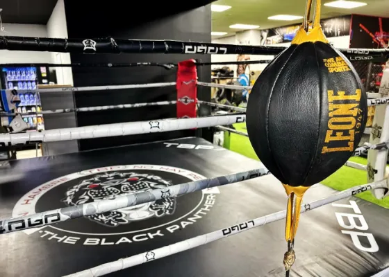 The black panther gym