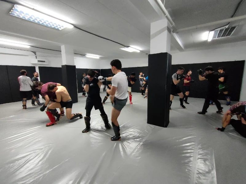 Splinters MMA