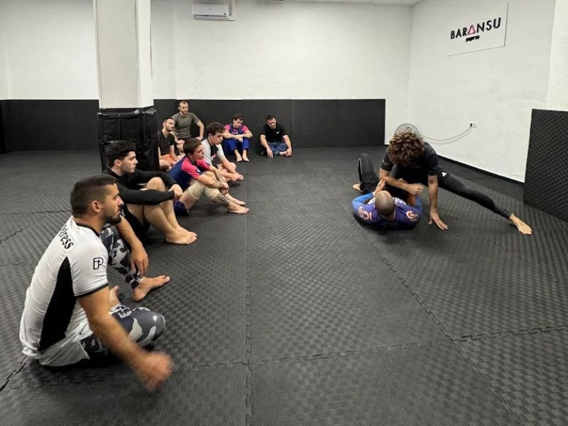 Baransu Jiu-Jitsu Academy