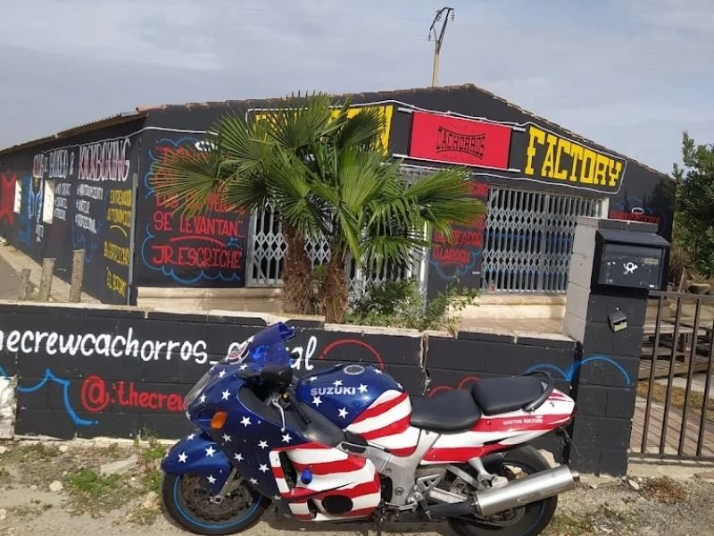 Cachorros Boxing Club