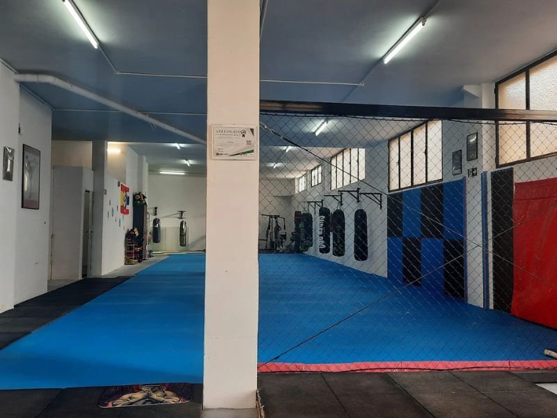 Club Mustang - Artes marciales en Viator​