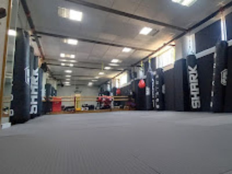 Shogun Muaythai & Boxing club