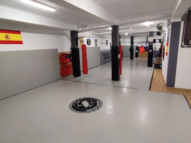 War Dogs - Artes Marciales y Deportes de Contacto en Viator