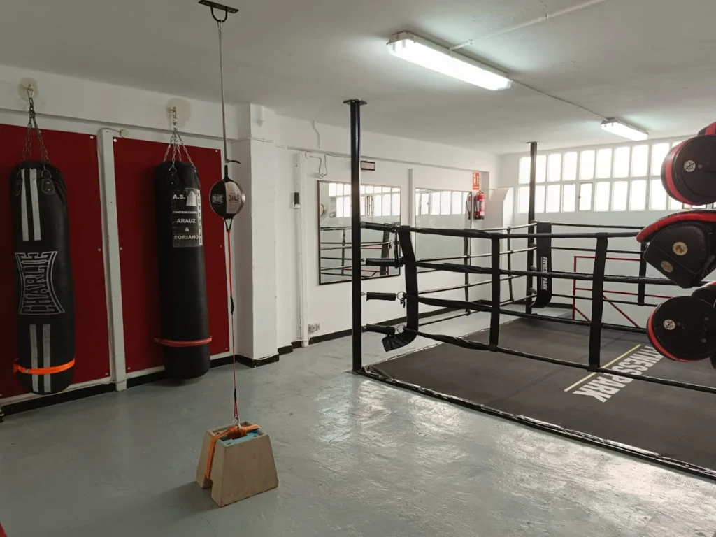 indesport boxing club zaragoza