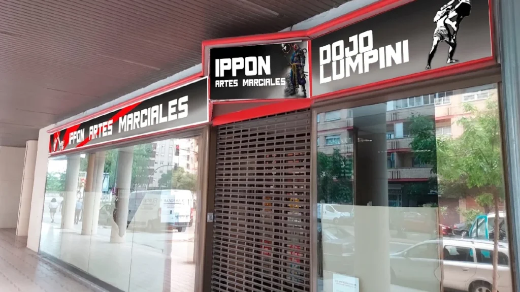 gimnasio ippon artes marciales zaragoza