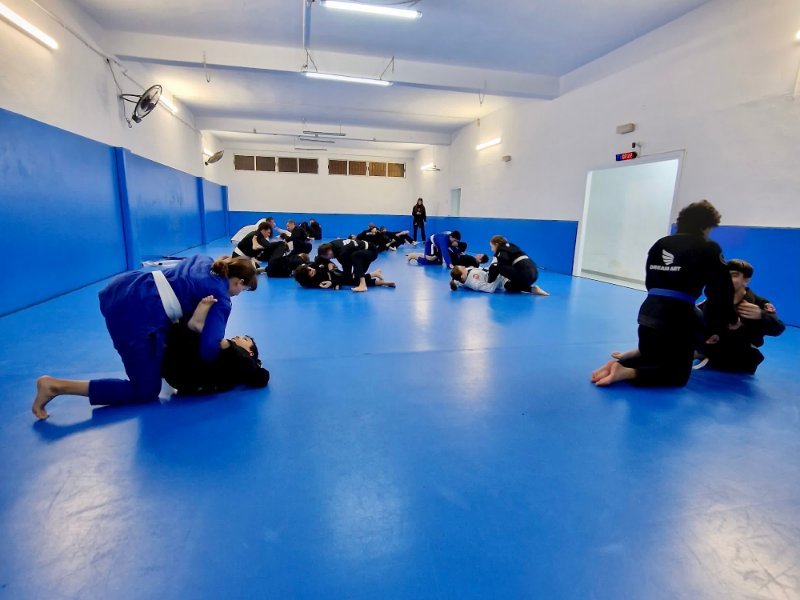 Dream Art Jiu-jitsu Valencia en Algirós, València