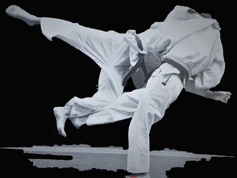 Gimnasio Judo Tao en Esplugues de Llobregat, Esplugues de Llobregat